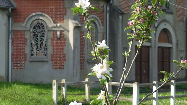 Eine Kirche mit Ziegelverkleidung und Rundbogenfenstern.