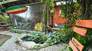 A garden area with a pond, wooden benches, and a variety of plants. There are signs indicating different areas such as 'Palco' and 'Atelier'. - Quintal do Contêiner (Serra)