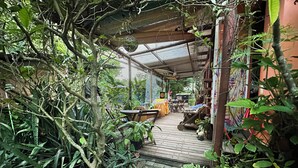 A covered outdoor area with a wooden deck, surrounded by dense foliage and a variety of plants. - Quintal do Contêiner (Serra)