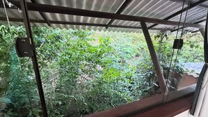 A room with a view of dense greenery through a window with a metal roof. - Quintal do Contêiner (Serra)