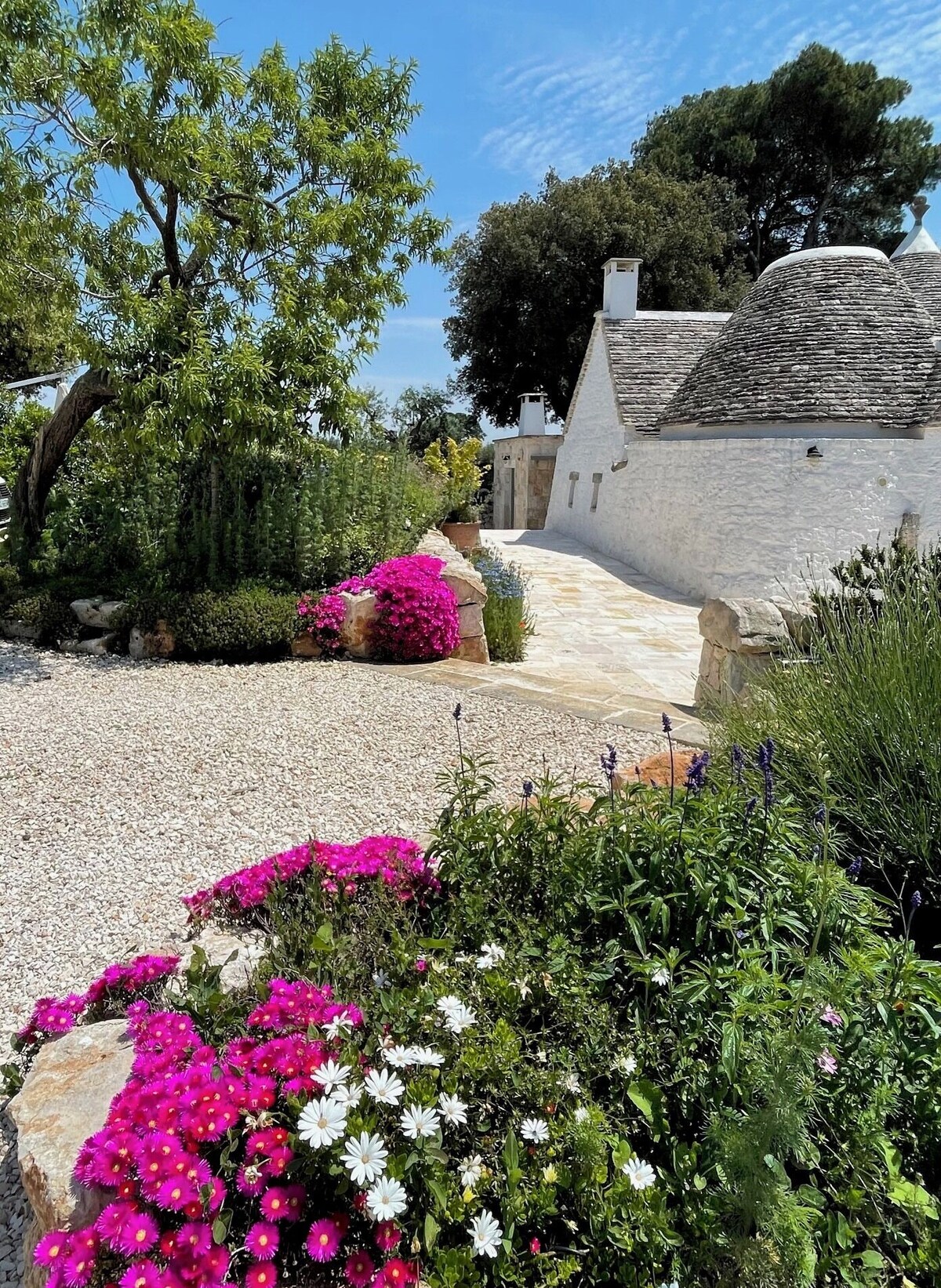 Imagen de perfil del propietario o de la propietaria