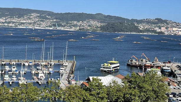 Ein Yachthafen mit vertäuten Booten, eine Fähre und eine hügelige Stadt im Hintergrund.