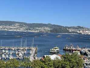 Ein Yachthafen mit vertäuten Booten, eine Fähre und eine hügelige Stadt im Hintergrund.