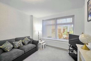 テレビ、暖炉、DVD プレーヤー、書庫