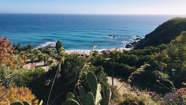 A coastal landscape with a beach, vegetation, and a clear view of the ocean.