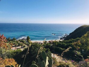 Paisaje costero con playa, vegetación y vista despejada del océano.