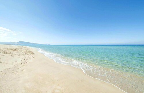 Two Bedroom Apartment