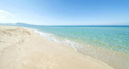 Two Bedroom Apartment