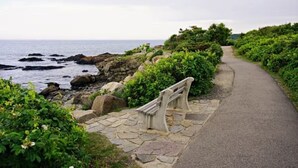 A coastal walkway with a bench, surrounded by greenery and leading to the sea.