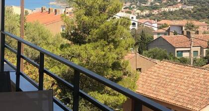 Appartement T2 Ăle Rousse