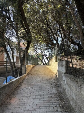 Property grounds - 6 beds at the "Conchiglia"-RIf. Ponente (San Vincenzo)