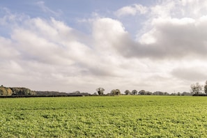 Unclassified image, 2 of 33, button