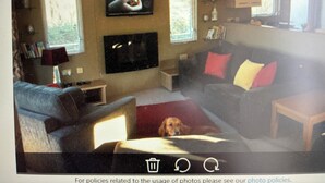 A living room with a sofa, a television, and a dog lying on the floor.