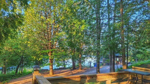 A wooden deck with benches, surrounded by tall trees and a dirt path. - Birch Cabin- North Frontenac Lodge (Ompah)