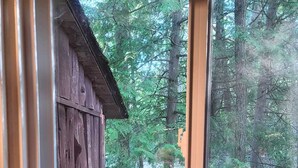 A kitchen sink with a faucet and a soap dispenser. - Birch Cabin- North Frontenac Lodge (Ompah)