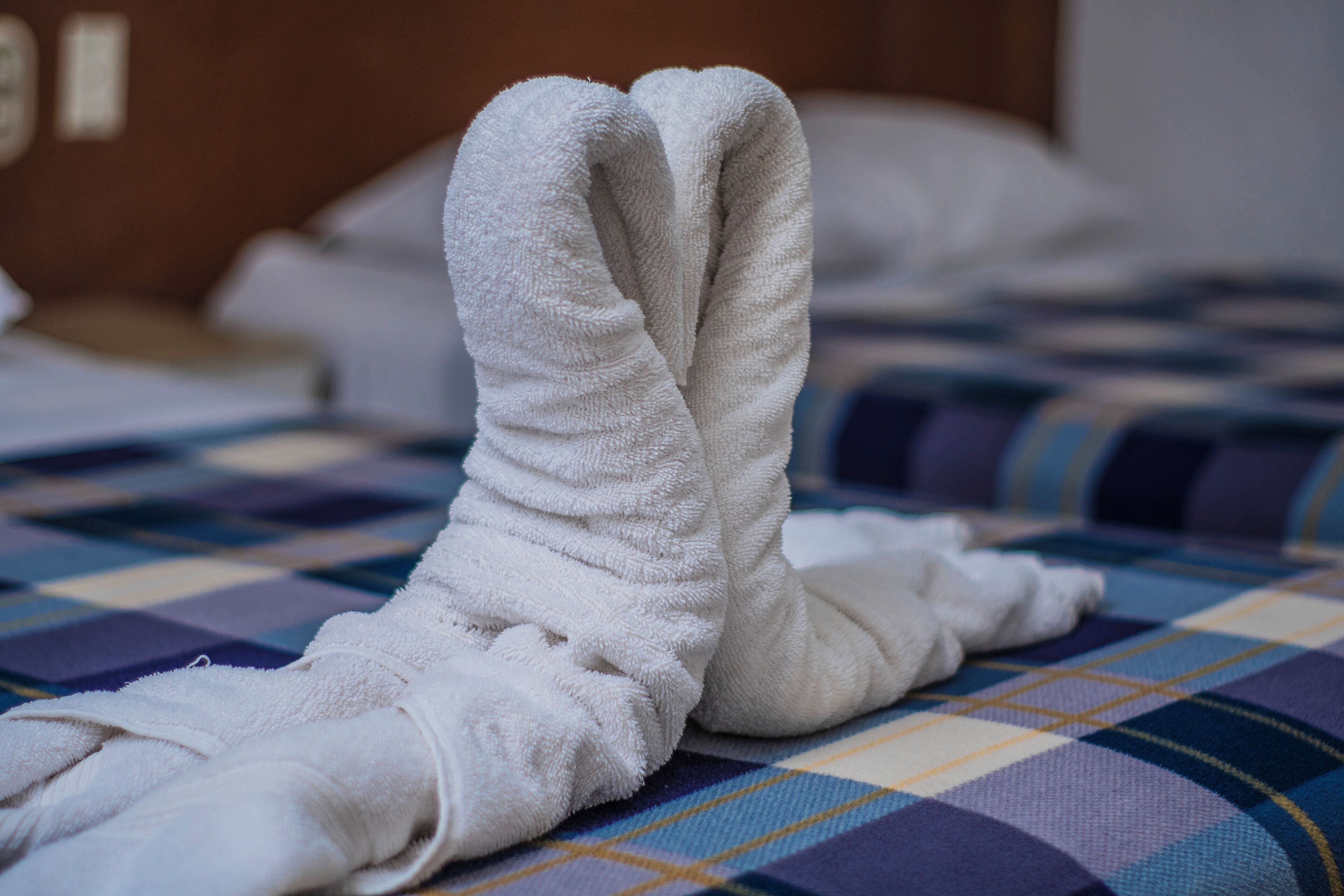 Photo - Hotel Espor CA