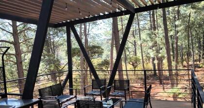 Cabaña Arroyo de los Venados In the Sierra de Tapalpa, Deer in the wild,