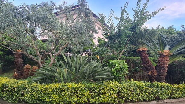 Exterior - le sale resort (Caserta)