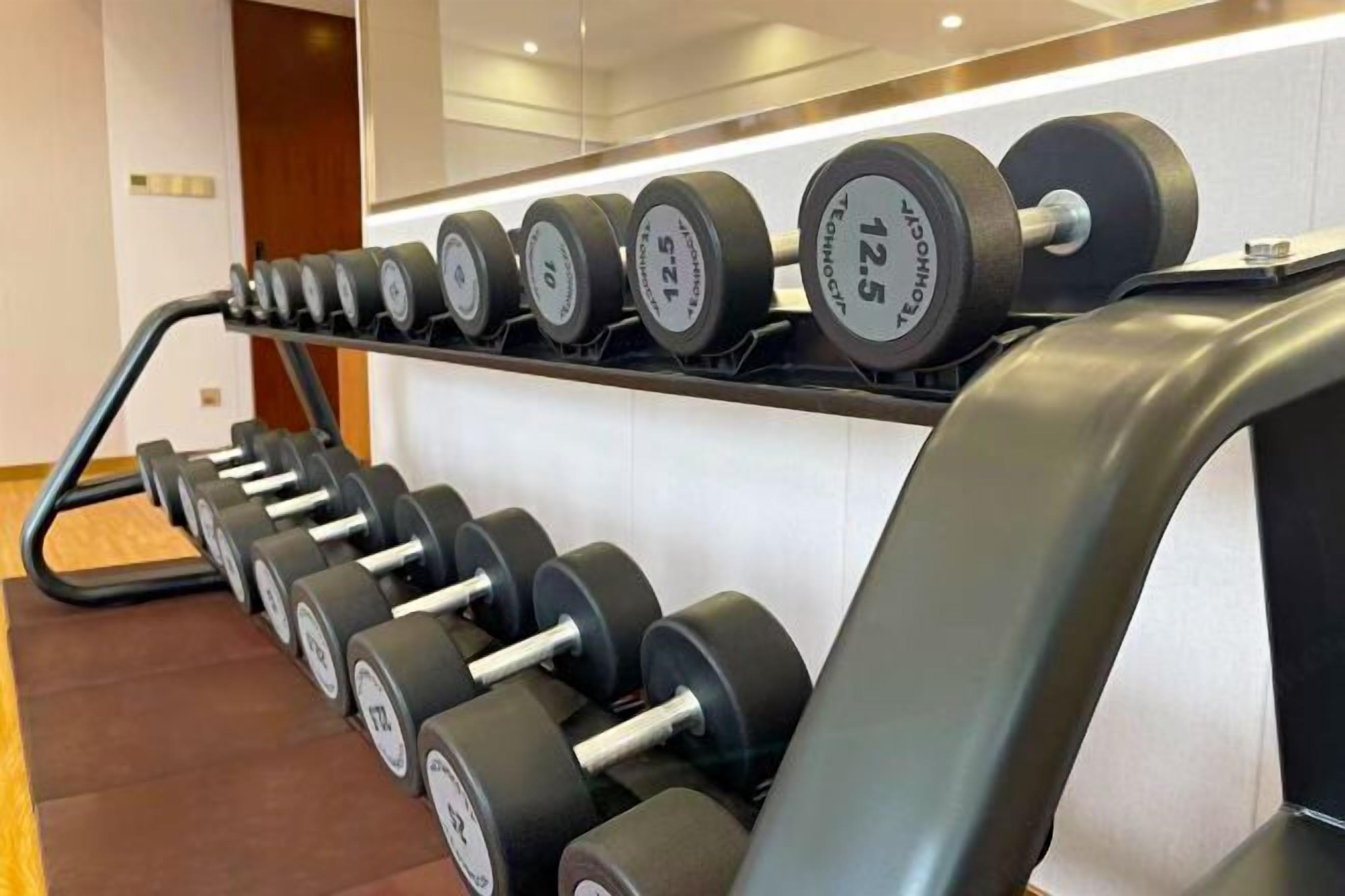 A row of dumbbells on a rack in a gym.