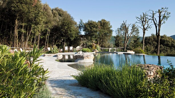 A pool area with a stone pathway, surrounded by lush greenery and trees.