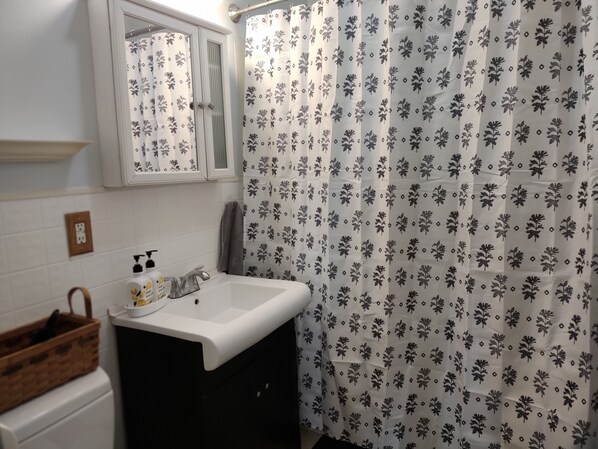 A bathroom with a white sink, a mirror above it, and a shower curtain with a floral pattern. - Cozy, Private Country Home on a Farm in the Finger Lakes (Bloomfield)