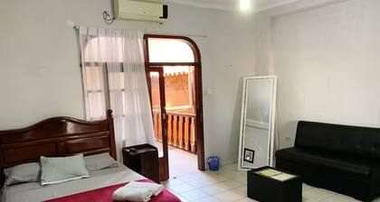Spacious & Cozy Apartment in the Heart of Santa Cruz