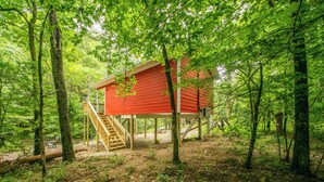 A red wooden cabin with a wooden staircase, surrounded by trees in a forest.