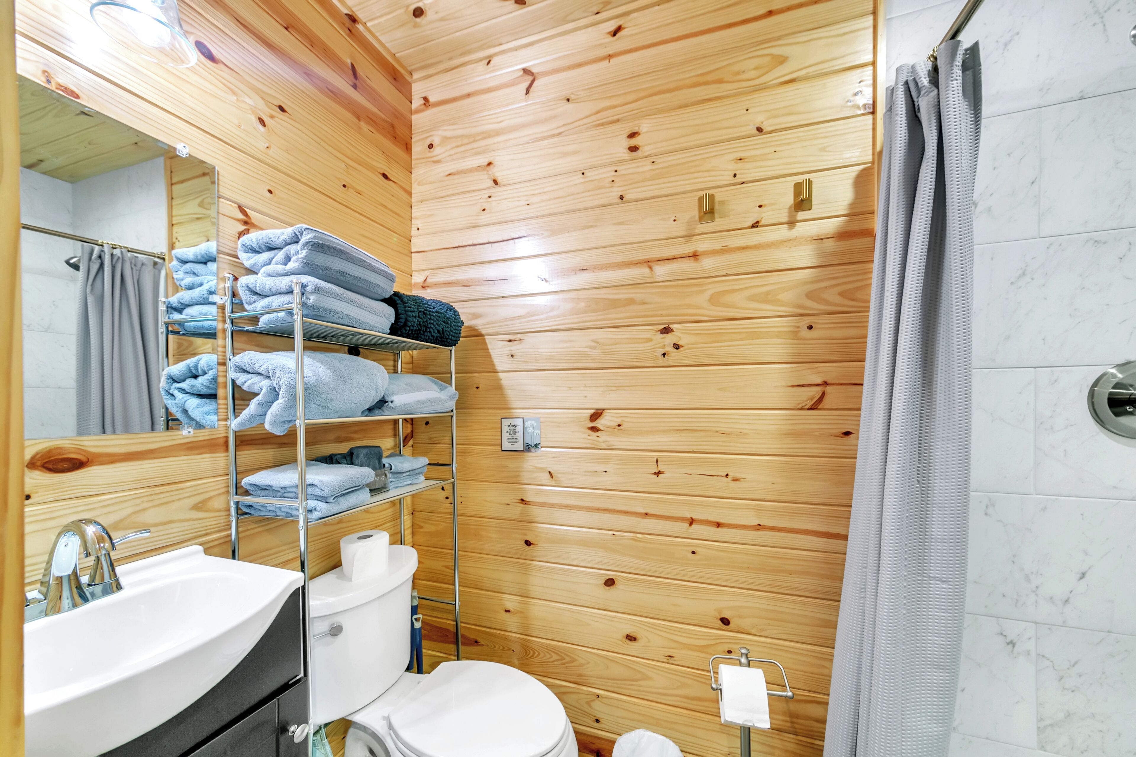 Shower, jetted tub, hair dryer, towels