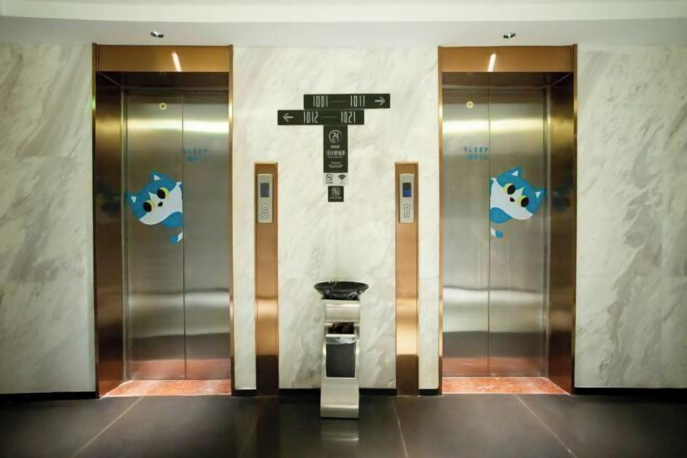 الإطلالة من المنشأة