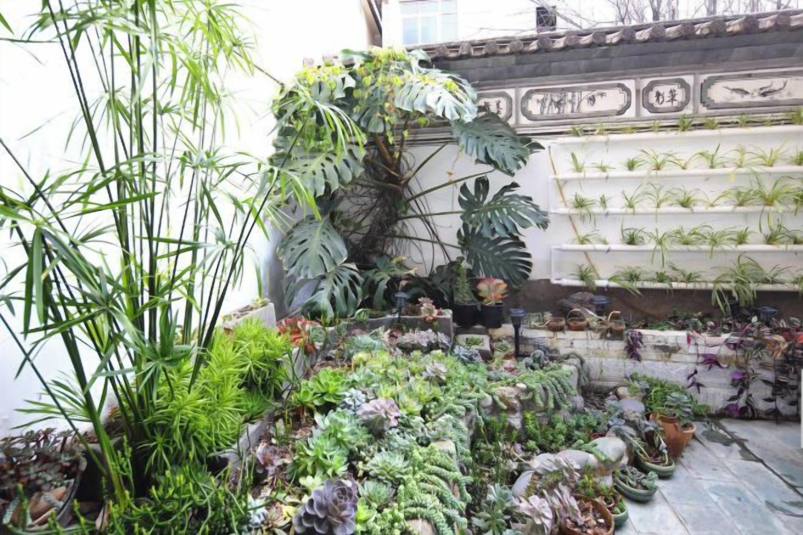 A garden with various plants and a wall-mounted plant shelf.