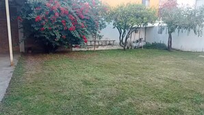 A grassy yard with a tree bearing red flowers and a swing set. - Small Independent Studio in Zapopan (Zapopan)