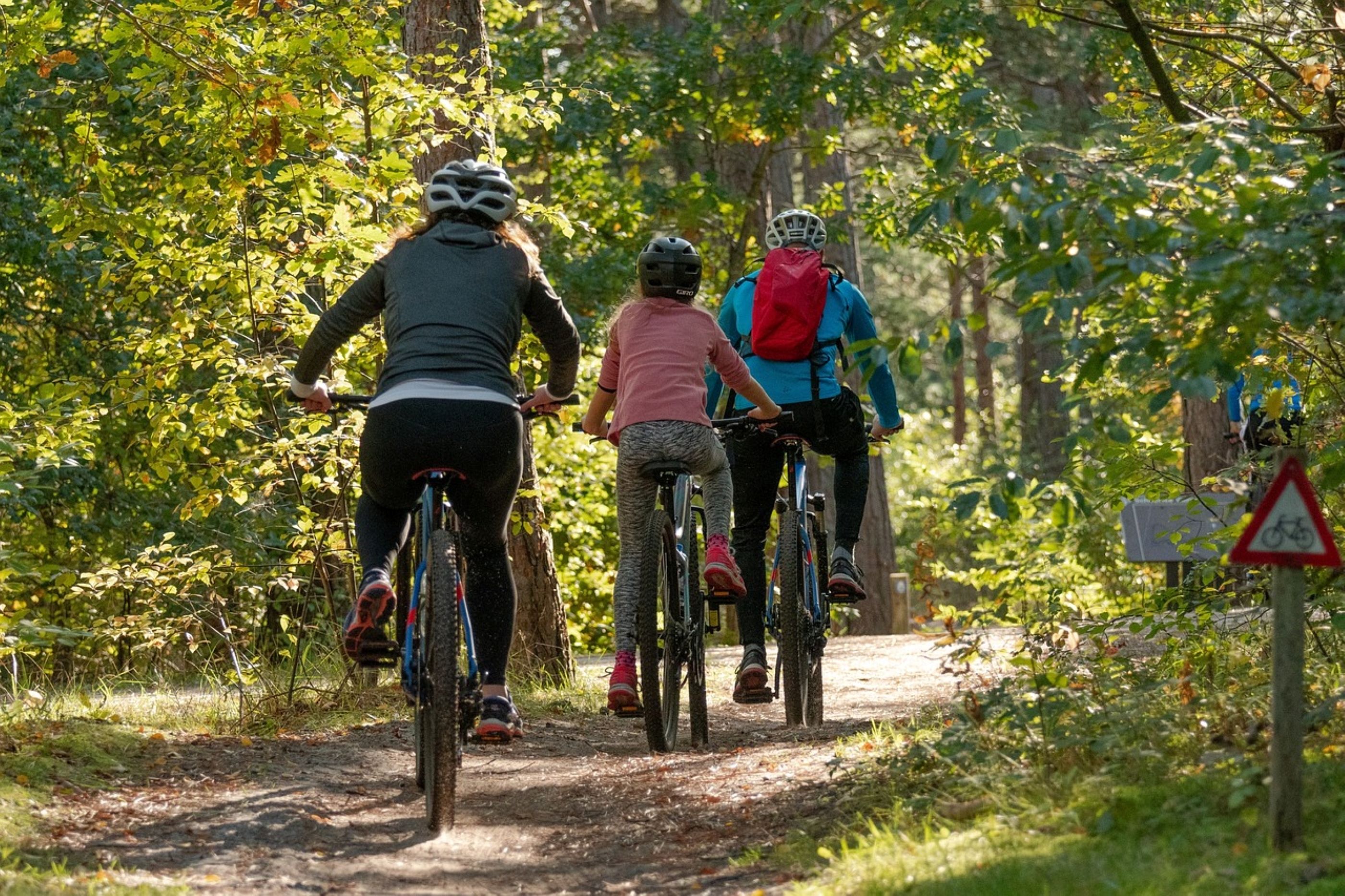 Tres ciclistas en un sendero forestal.