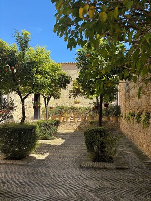 Property grounds - Andalusian Apartment with AC, WiFi in center of Jerez de la Frontera (Jerez de la Frontera)