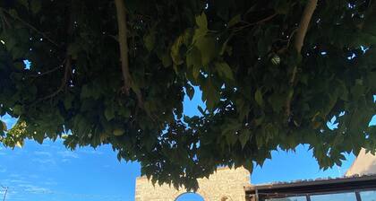 Mastro Vanni - Urban Masseria