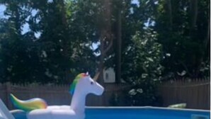 Una piscina con un flotador de unicornio y un aro inflable circular.