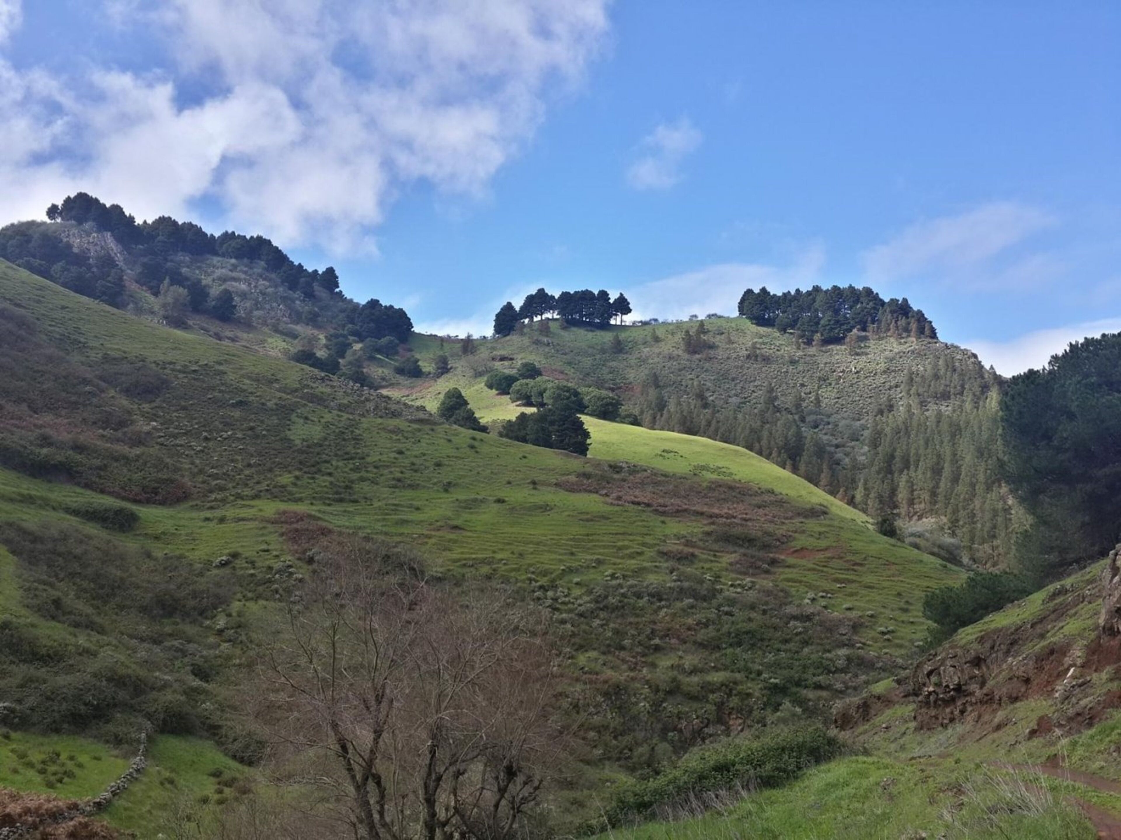 Photo - House Villa Palominos Galdar