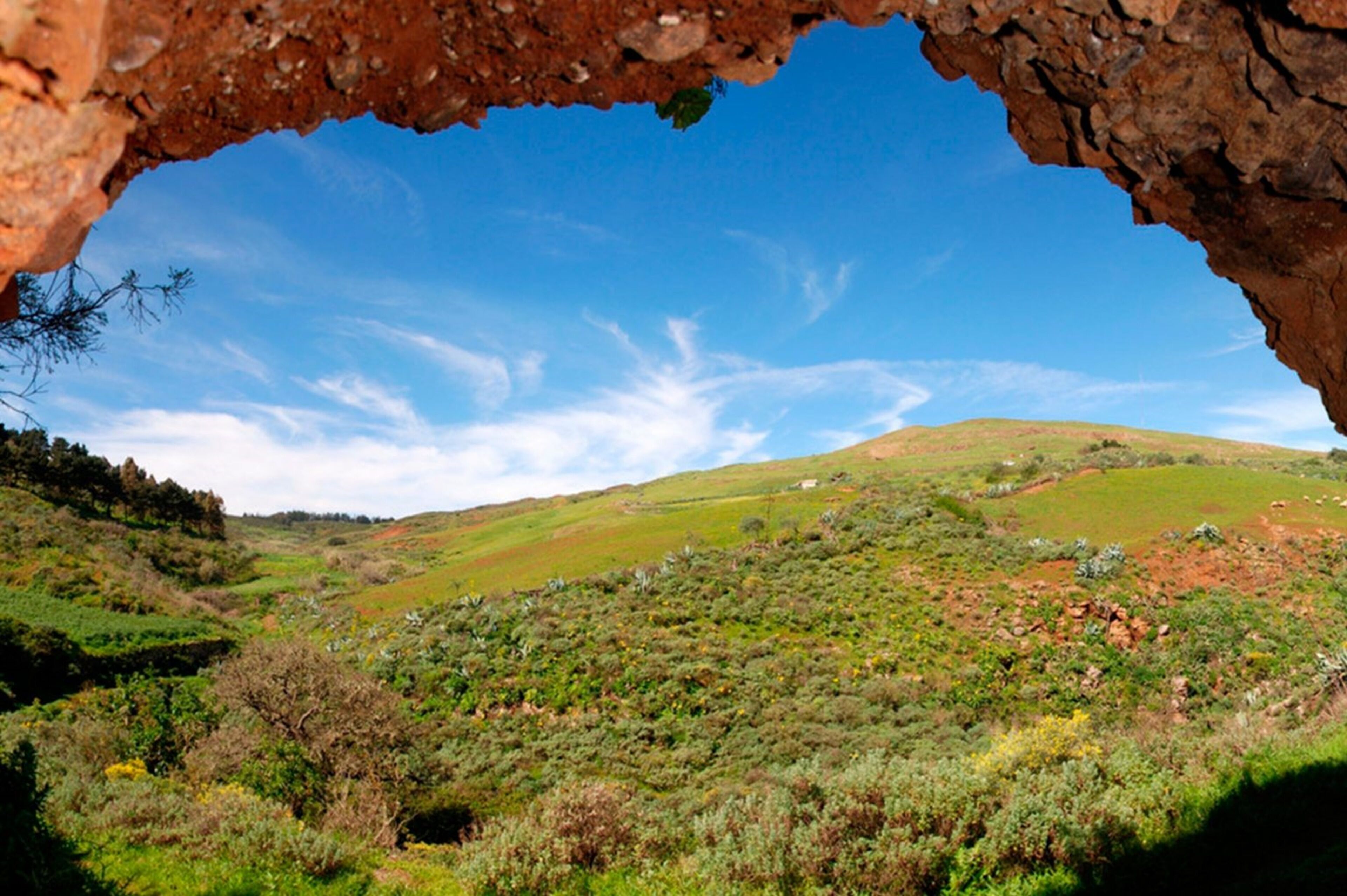 Photo - House Villa Palominos Galdar