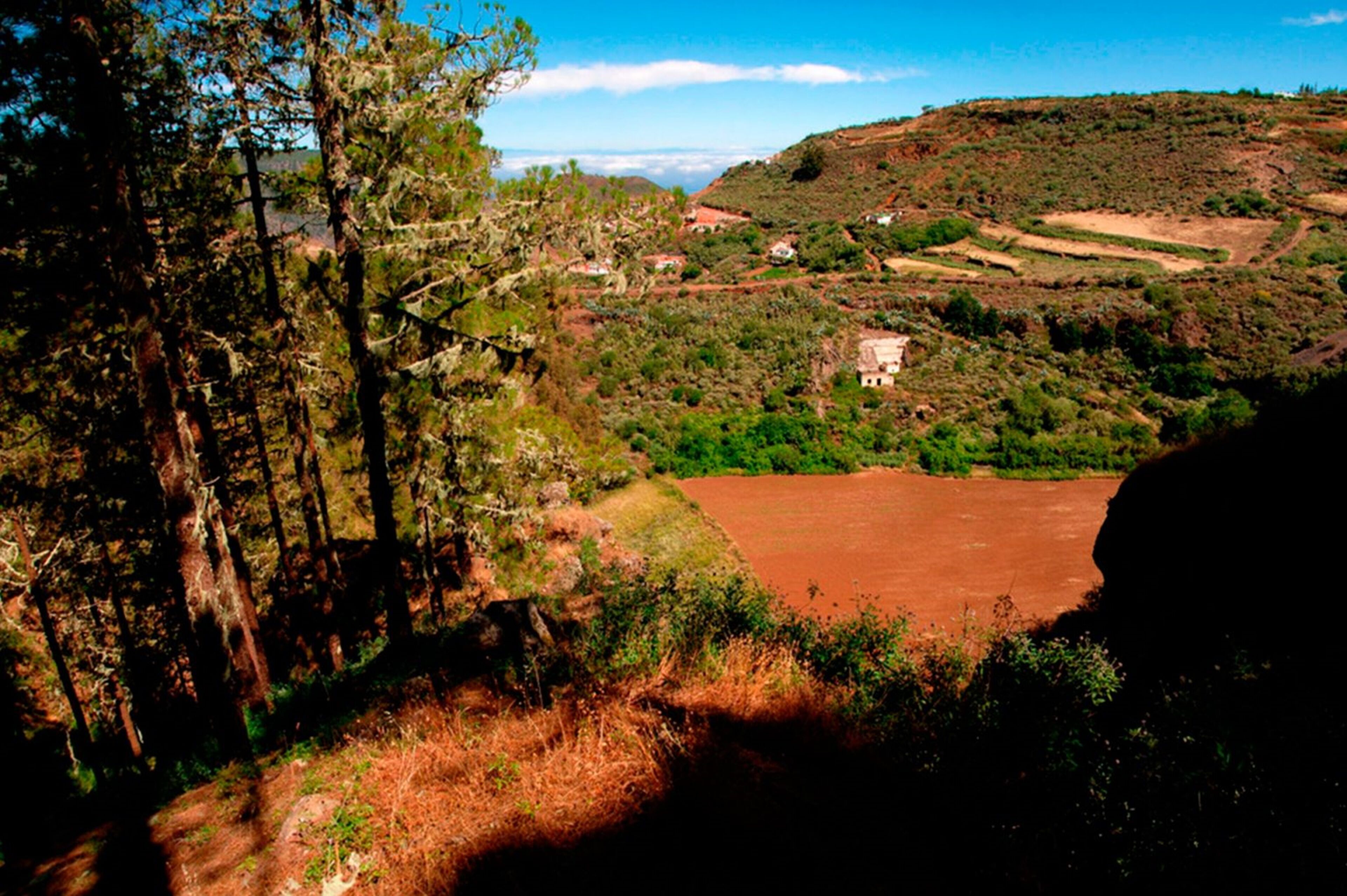 A rural landscape with a dirt road, trees, and scattered buildings.