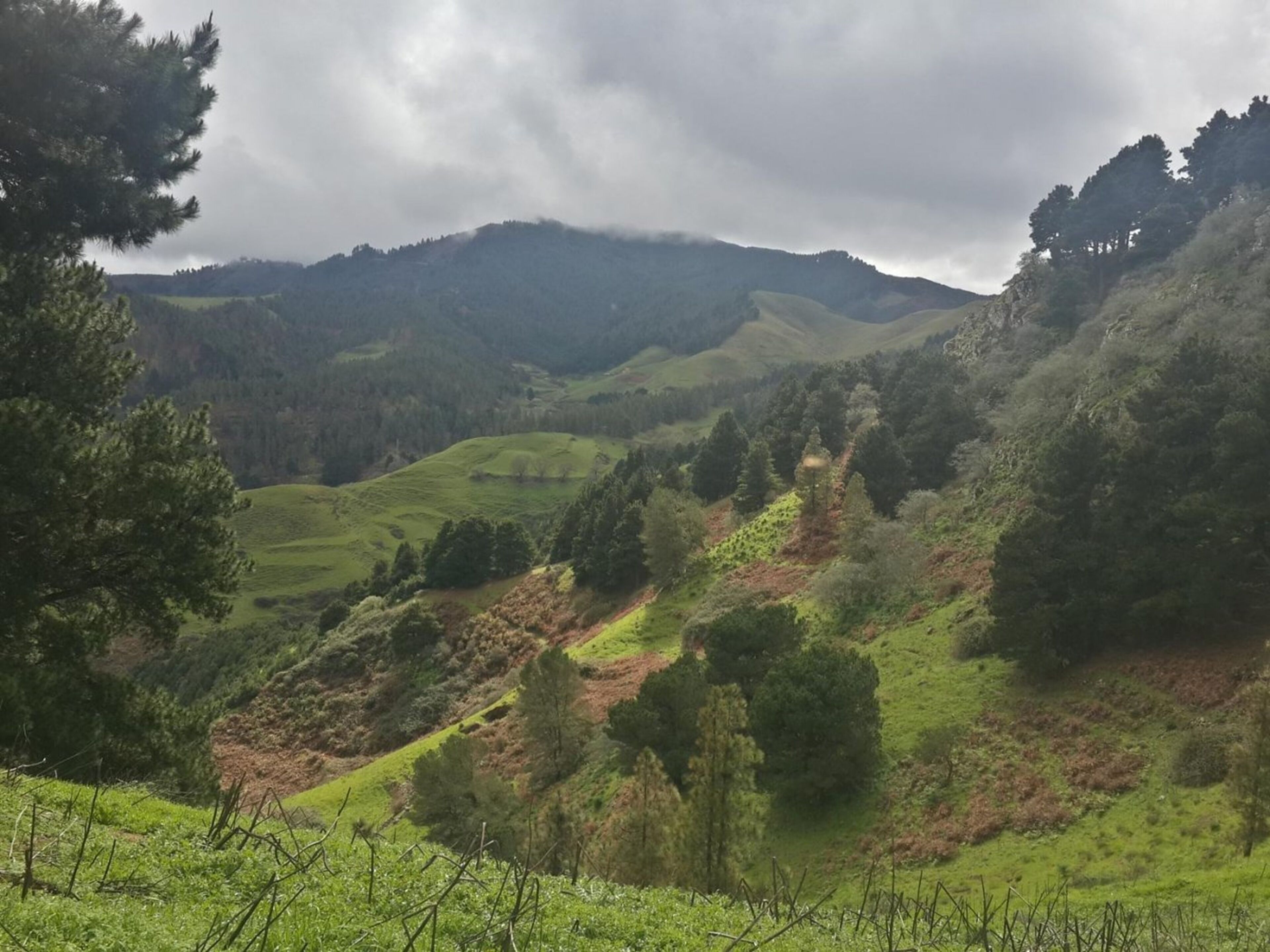 Photo - House Villa Palominos Galdar