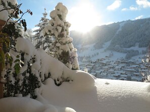 Chalet | Property grounds