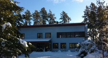 Enchanting south facing lake property in East Harris Bay on Whiteface Reservoir.