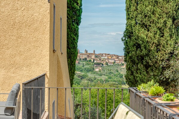 Property grounds - Villa Ceppeto, Best Of Tuscany at Brand New Nest (Monte San Savino)