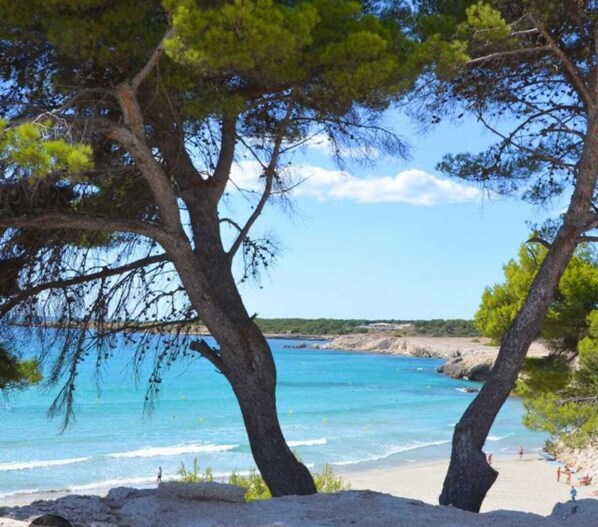 Sun loungers, beach towels