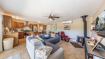 Smart TV, fireplace, books
