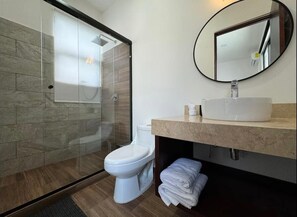 Bathroom features a glass-enclosed shower, toilet, and sink with a countertop.
