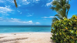A beach with clear blue water, a sandy shore, and a palm tree. - Exclusive one bedroom apartment, a few steps from the Caribbean Sea (Speightstown)