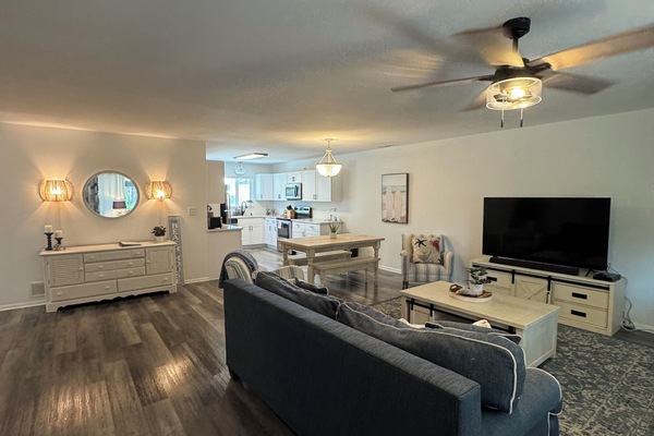 Smart TV, video games, books, computer monitors