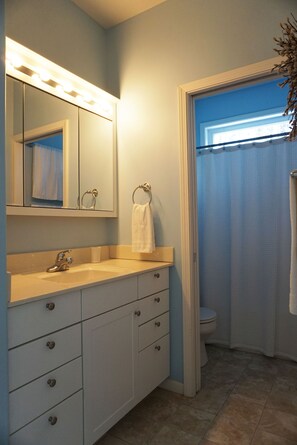 Een haardroger, handdoeken, zeep, toiletpapier