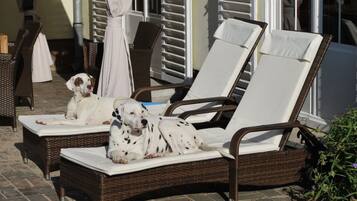 House | Terrace/patio