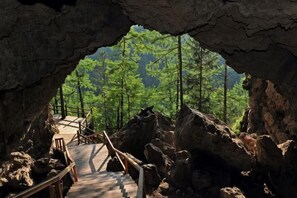 Vista desde la propiedad